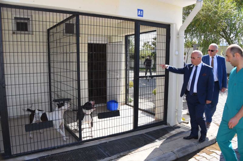 Başkan Kayda’dan sokak hayvanlarına yakın ilgi
