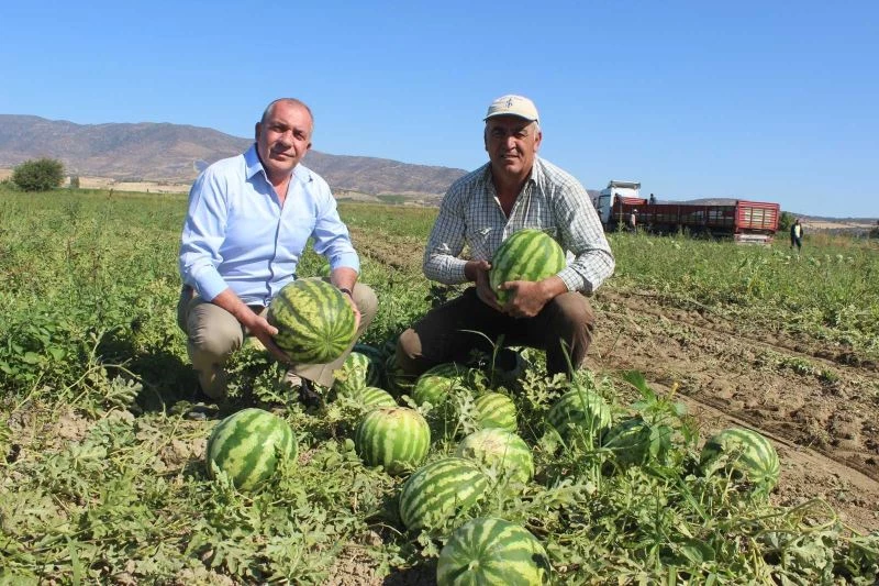 Dubai’nin karpuzu Manisa’dan

