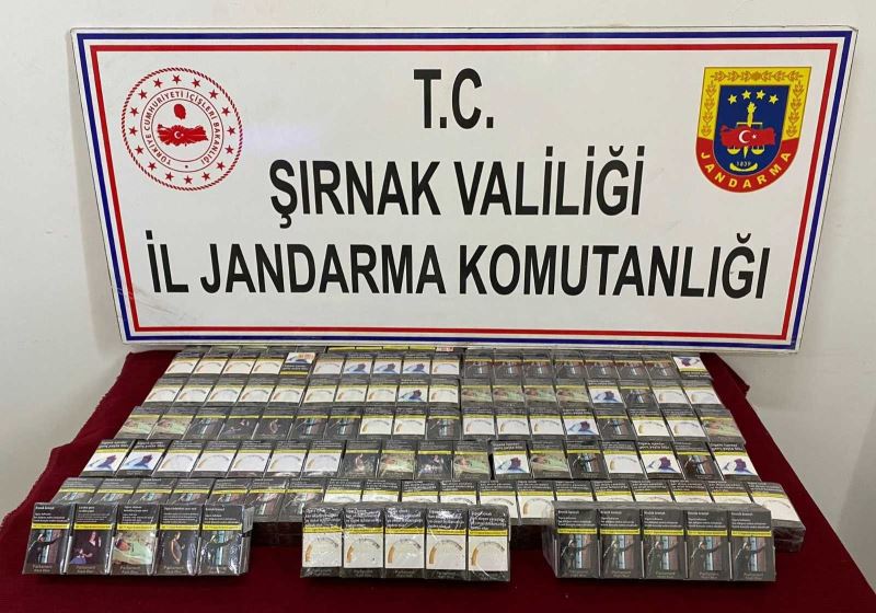 Terörün finansçılarına darbe: 84 gözaltı
