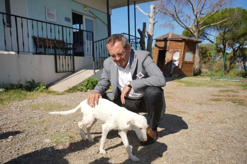 Başkan Ergin, “Satın alma sahiplen”
