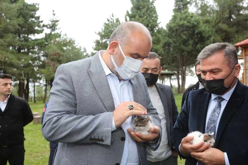 Sandıkçı: “Çocuklara hayvan sevgisi aşılayalım”
