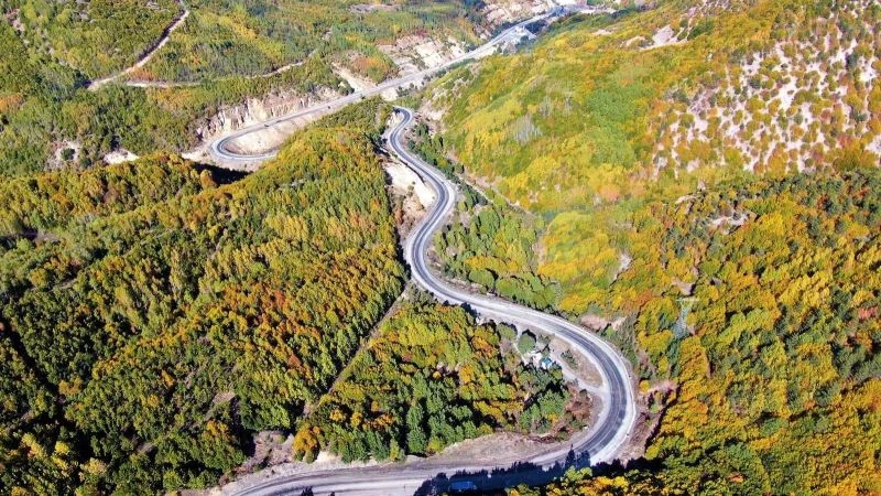 Yapraklar sarardı ortaya tablo gibi görüntüler çıktı
