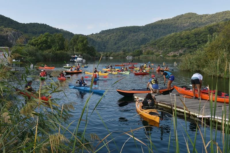 Deniz kaplumbağalarının “annesi” için şükran geçişi
