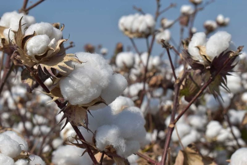 Aydın Ticaret Borsası Yönetim Kurulu Başkanı Çondur: 