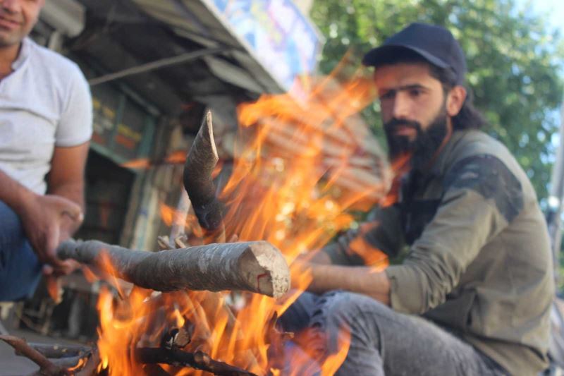 Zeytin hasadında geleneksel yöntem ’sırık’
