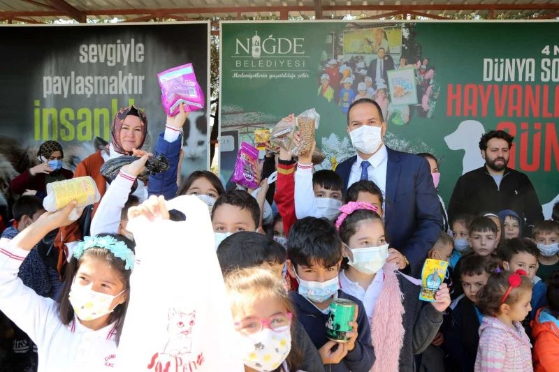 Niğde Belediyesi sokak hayvanları için ameliyathane açtı
