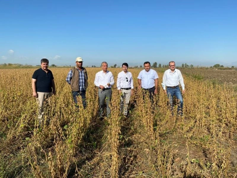 Tarsus’ta yerli soya çeşidi ‘Samsoy’un hasadı yapıldı
