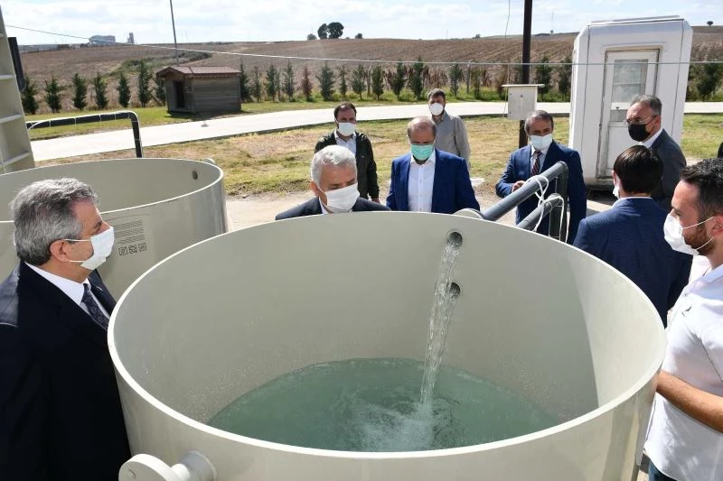 Bakan Yardımcısı Büyükdede, Tekirdağ’da
