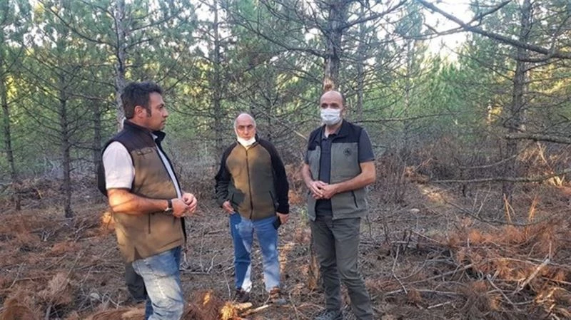 Müdür Keskin: “Ormanlarımıza daha iyi gelişme ortamı oluşturuyoruz”
