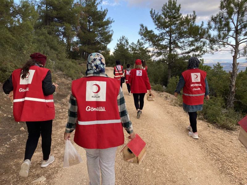 Ormanlık alana kuş kafesleri yerleştirerek hayvanlar için kaplara yem ve su koydular
