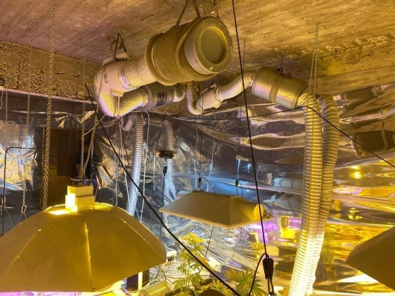 Uyuşturucu yetiştirmek için bodruma özel düzenekler kurmuş
