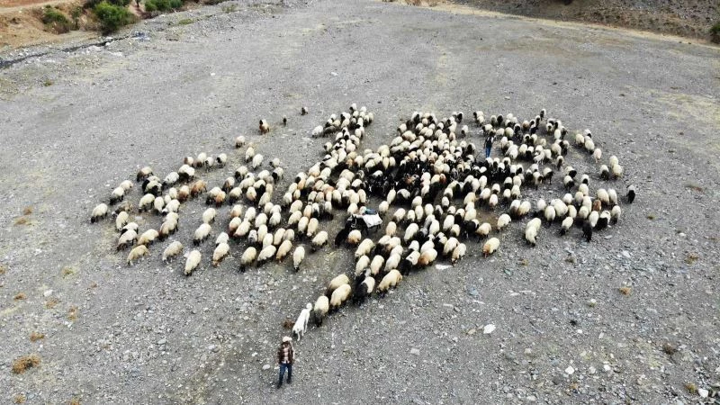 Göçerlerin zorlu geri dönüş yolculuğu başladı
