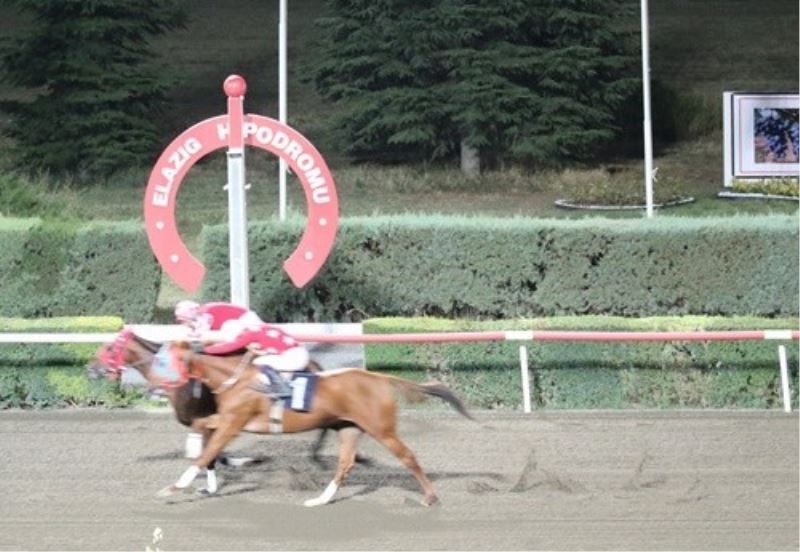 Elazığ Üzüm Festivali Koşusunu Dothraki kazandı
