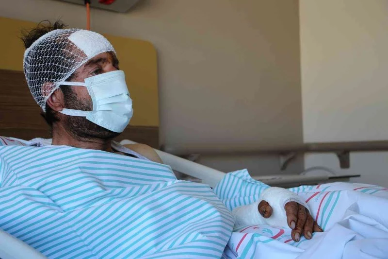 Ayı saldırısı sonucu hastanelik olan şahıs, dehşet anlarını anlattı: 