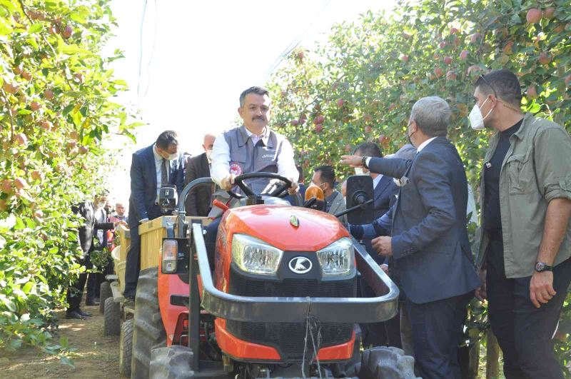 Bakan Pakdemirli, Karaman’da traktör kullanıp elma hasadı yaptı