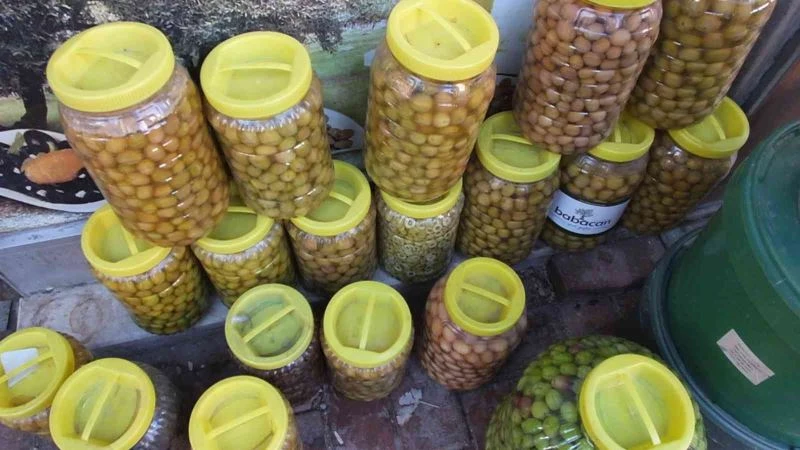 Balıkesir’de kırma zeytinlerin hazırlanmasına başlandı
