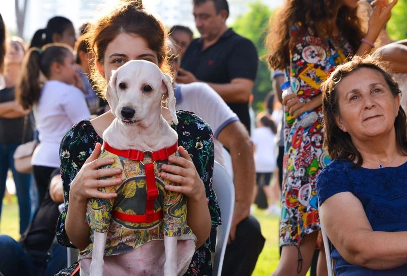 Pati Fest 10 Ekim’de yapılacak
