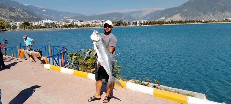 Kıyıdan 15 kiloluk liça balığı avladı
