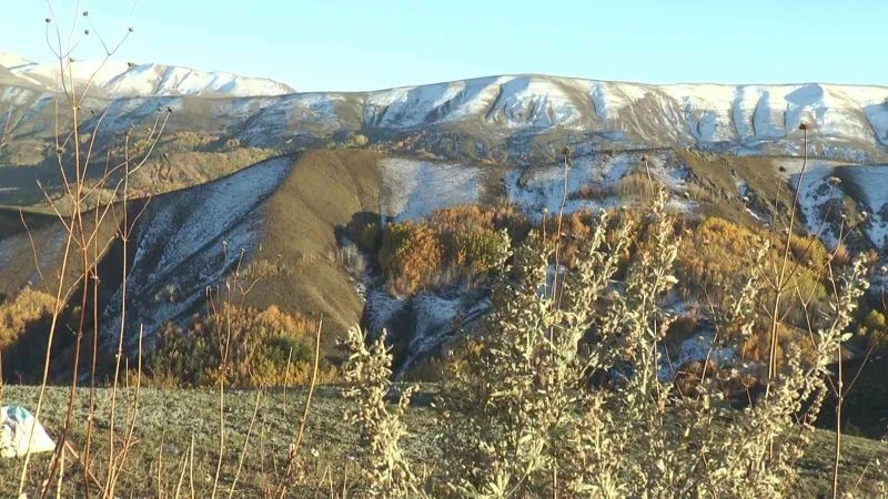Dört mevsimin güzelliği aynı karede
