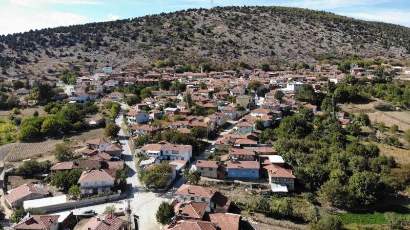 Köylülerden ilginç böbrek taşı dökme yöntemi
