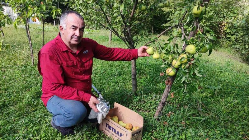 Arazisini şehitlerin anısına meyve bahçesine çevirdi ilk hasadı ise şehit ailelerine gönderdi
