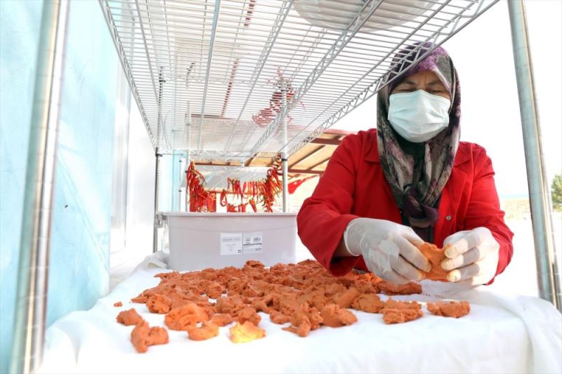 Antalyalı kadın girişimciler, hobi bahçelerinde yetiştirdikleri ürünleri tüketiciye sunuyor