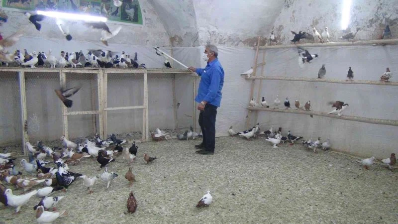 Ömrünü kuşlara adadı
