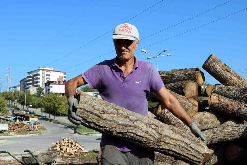 Büyük fabrikalar odunu ateşliyor
