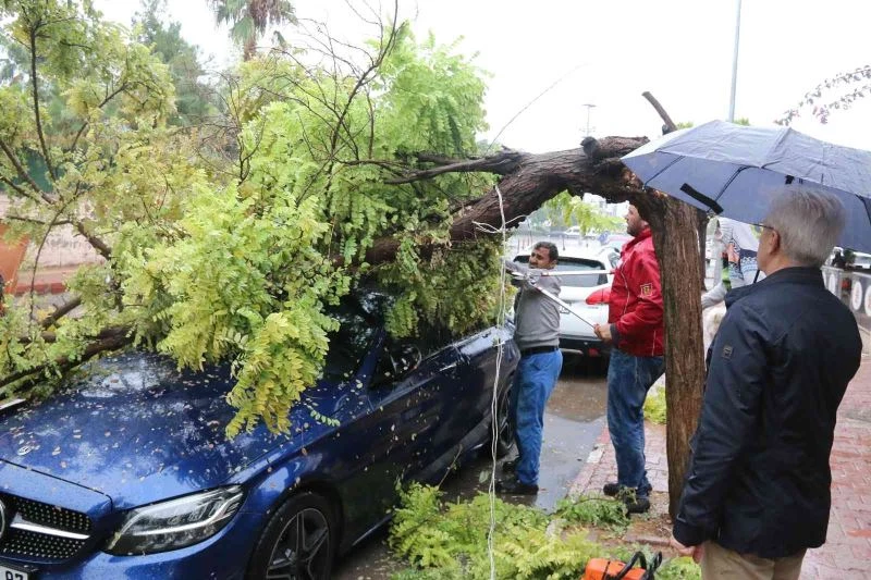 Belediyeye görüşmeye gitti, geri döndüğünde lüks aracını ağacın altında buldu
