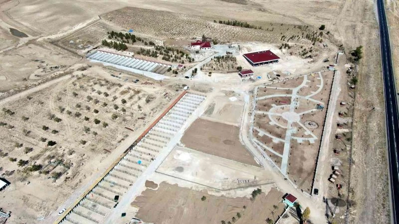 Eşi benzeri yok, köpeklerin 8 metrekarelik kulübesi var
