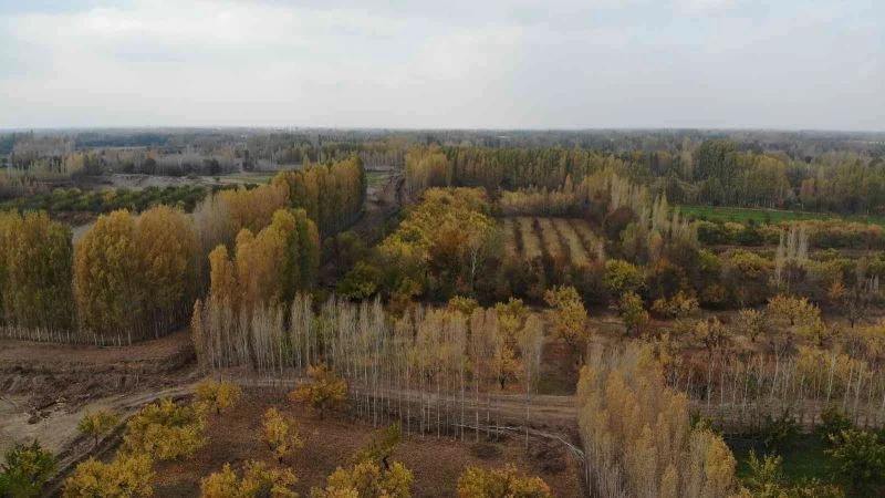 İrem Bağları’nda masal gibi sonbahar
