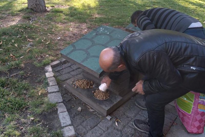 Sokak hayvanları için yemleme çalışmaları devam ediyor
