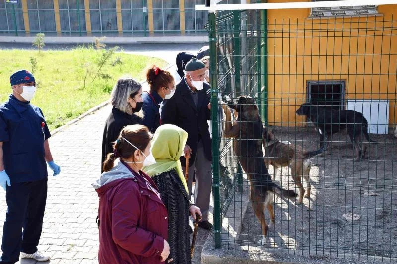 Huzurevi sakinleri hayvan barınağındaki hayvanları besledi
