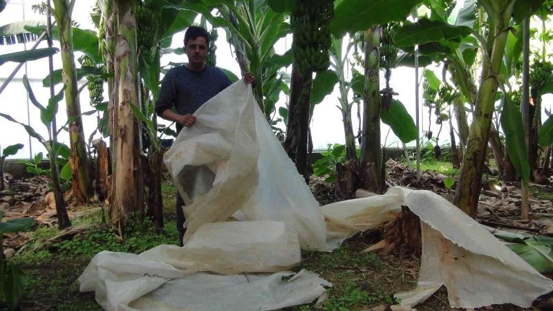 Mersin’de fırtına seraları vurdu
