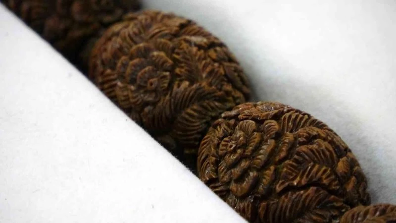 Dünyada eşi benzeri yok, 27 bin dolar verdiler satmadı
