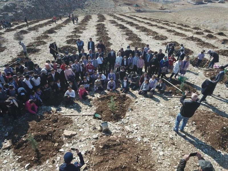 Tut ilçesinde fidanlar toprakla buluştu
