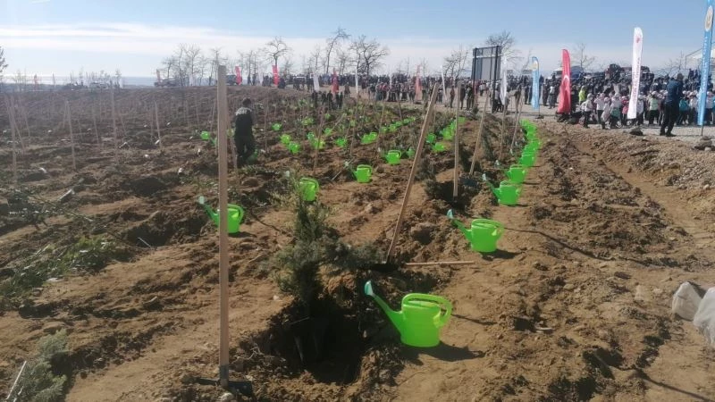 Manavgat’ta yanan orman arazileri fidanla buluştu
