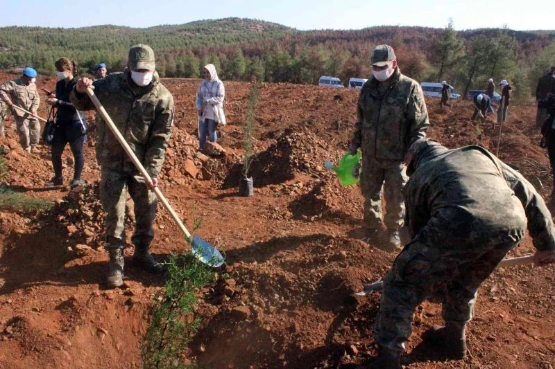 Yanan Demirciler orman alanında fidanlar toprakla buluştu
