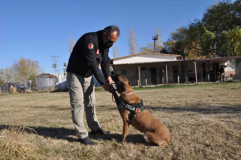 Emniyetin hassas burnu ‘Zela’ isimli köpek emekliliğe ayrıldı
