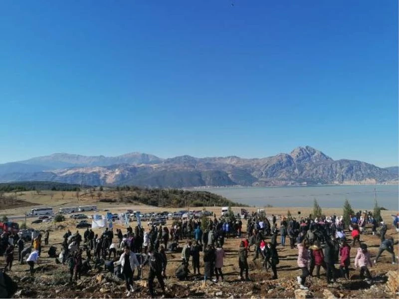 Eğirdir Yeniden Ardıç Kokacak
