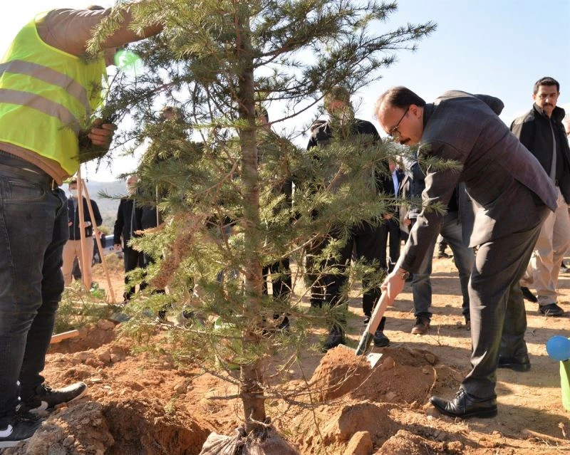 ’Söğüt Ertuğrul Gazi’ ve ’Domaniç Hayme Ana’ adı verilen fidanlar toprakla buluştu
