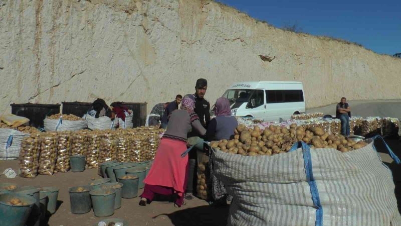 Kumpirlik patatesler yurt içi ve yurt dışına gönderilmeye başlandı
