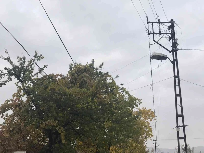 Ağaçların arasında kalan elektrik telleri tehlike saçıyor, vatandaşlar çözüm bekliyor
