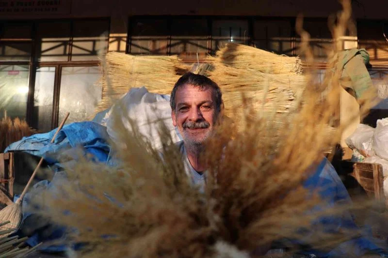 Çalı süpürgesi milyarlık süpürgelere direniyor
