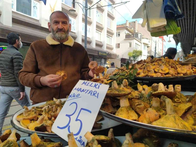 İnsanlar zehirli sanıp korkuyor, faydaları saymakla bitmiyor
