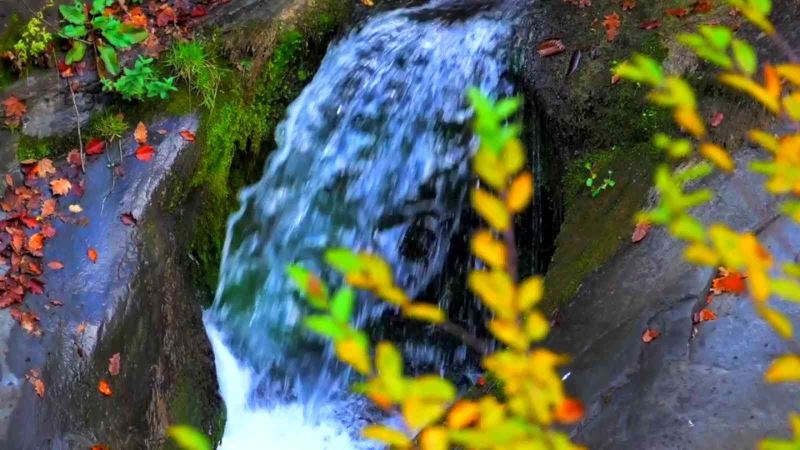 Yılançatı Kanyonu’nda sonbahar güzelliği
