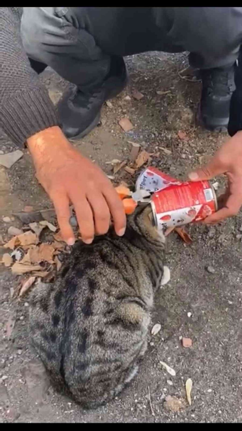 Kafası mama kabına sıkışan kediyi vatandaş kurtardı
