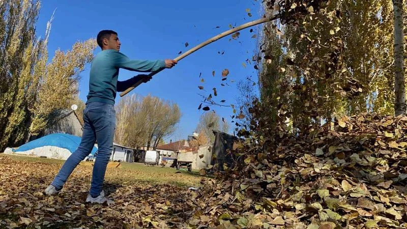 Sararan yapraklar toprakla buluştu
