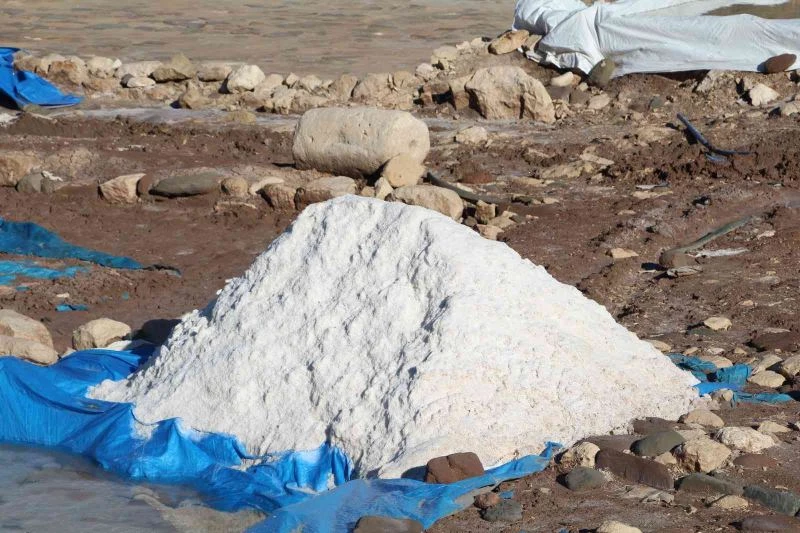 Hiçbir gideri yok, köylülerin geçim kaynağı oldu
