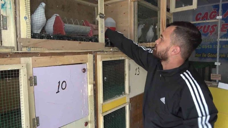 Kötü alışkanlıklardan korunmak için hayatını güvercinlere adadı
